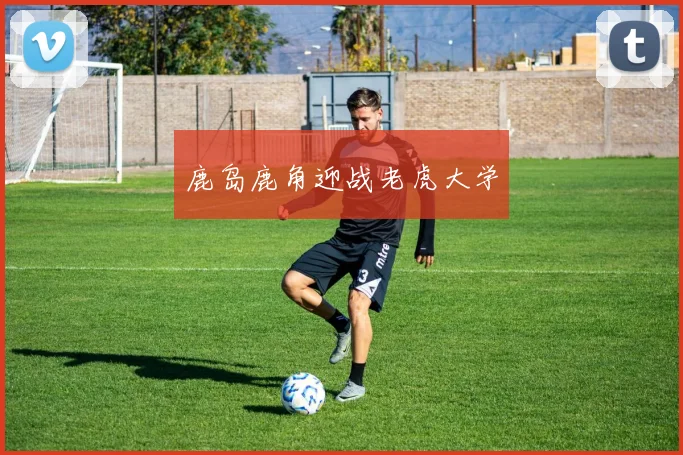 鹿岛鹿角迎战老虎大学