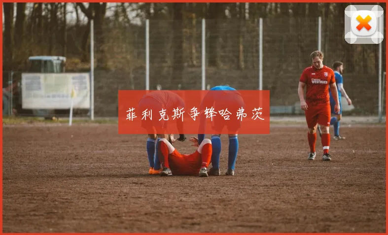菲利克斯争锋哈弗茨