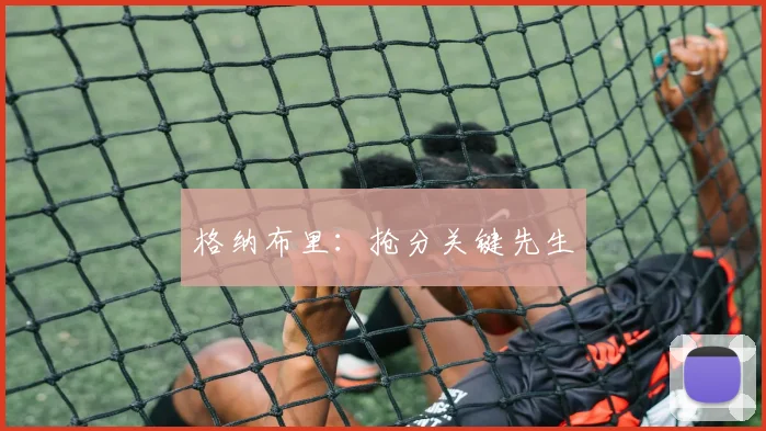 格纳布里：抢分关键先生
