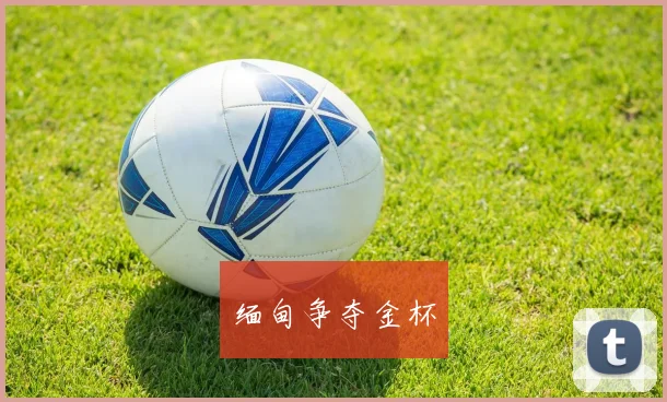 缅甸争夺金杯