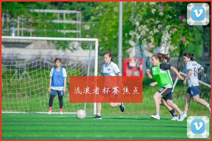 流浪者杯赛焦点