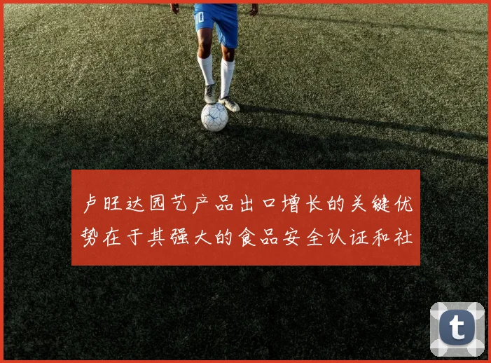 卢旺达园艺产品出口增长的关键优势在于其强大的食品安全认证和社会责任合规体系