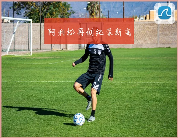 阿利松再创纪录新高
