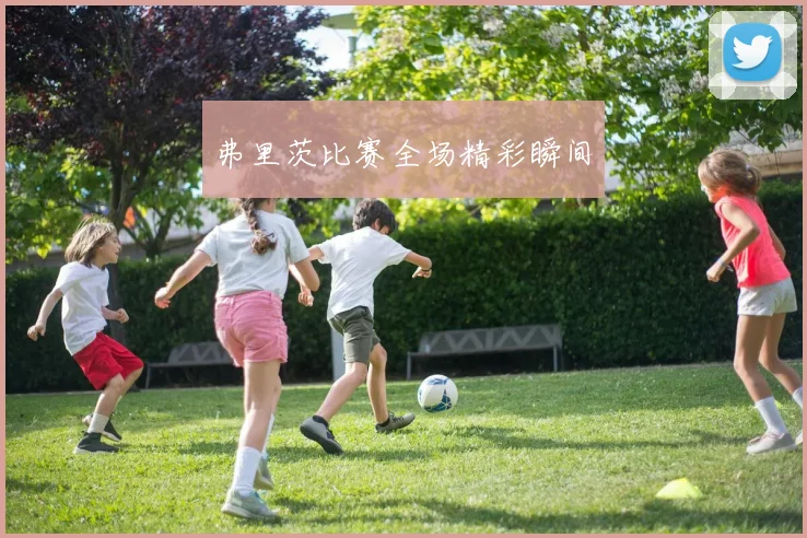 弗里茨比赛全场精彩瞬间