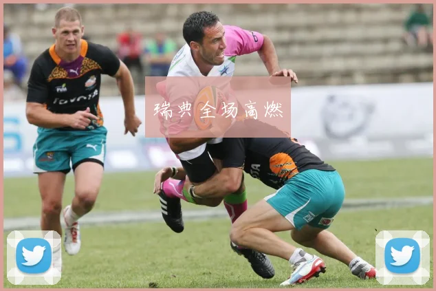 瑞典全场高燃