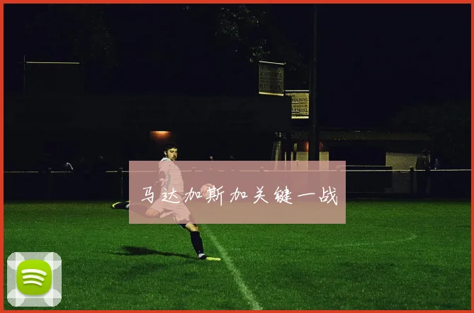 马达加斯加关键一战