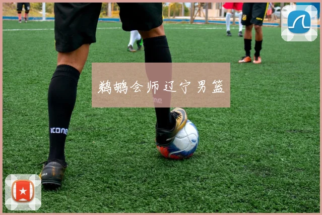 鹈鹕会师辽宁男篮