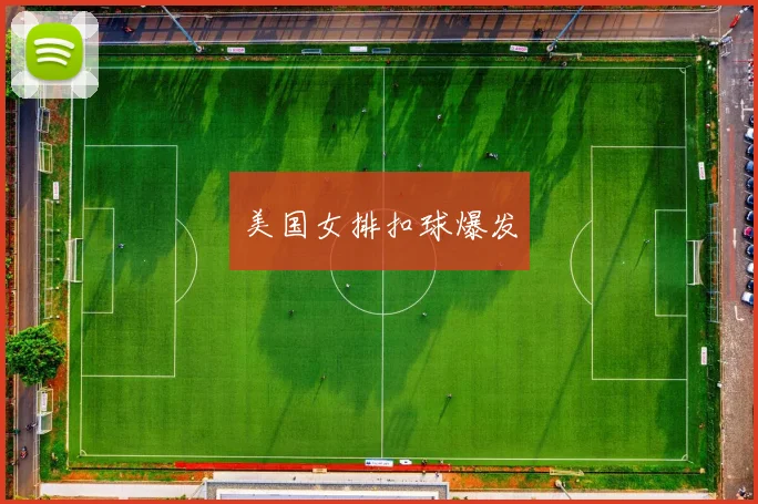美国女排扣球爆发