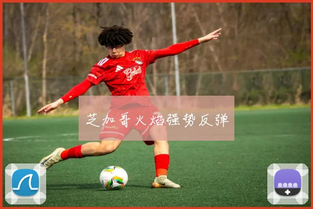 芝加哥火焰强势反弹