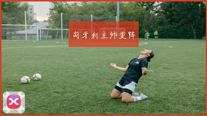 匈牙利主帅变阵