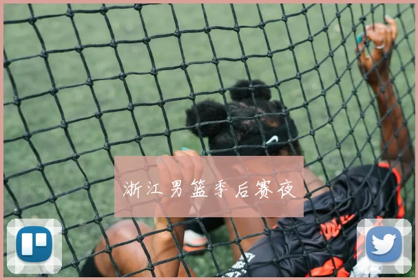 浙江男篮季后赛夜