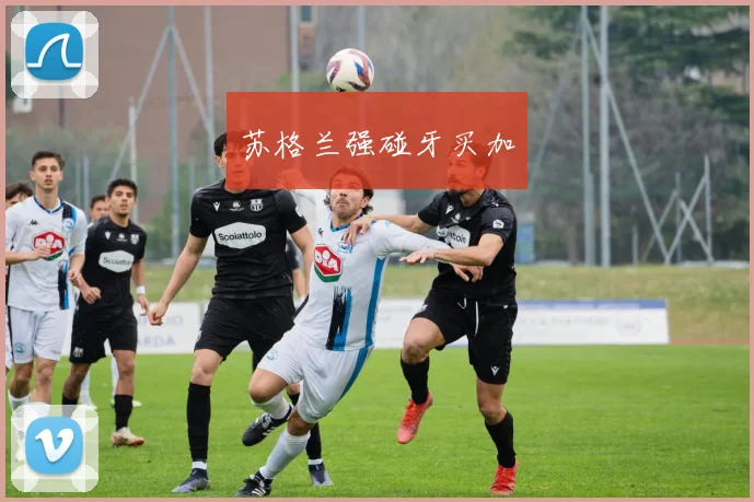 苏格兰强碰牙买加