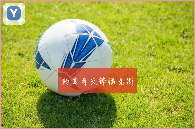 约基奇交锋福克斯