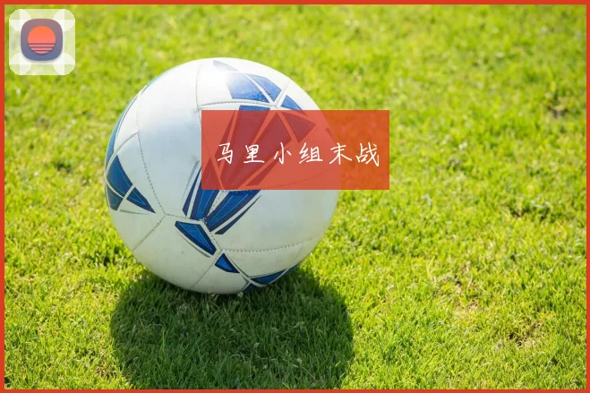 马里小组末战