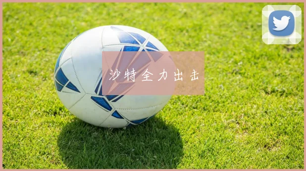 沙特全力出击