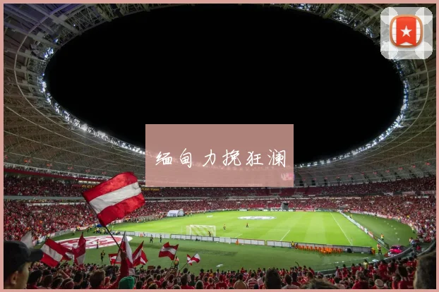 缅甸力挽狂澜