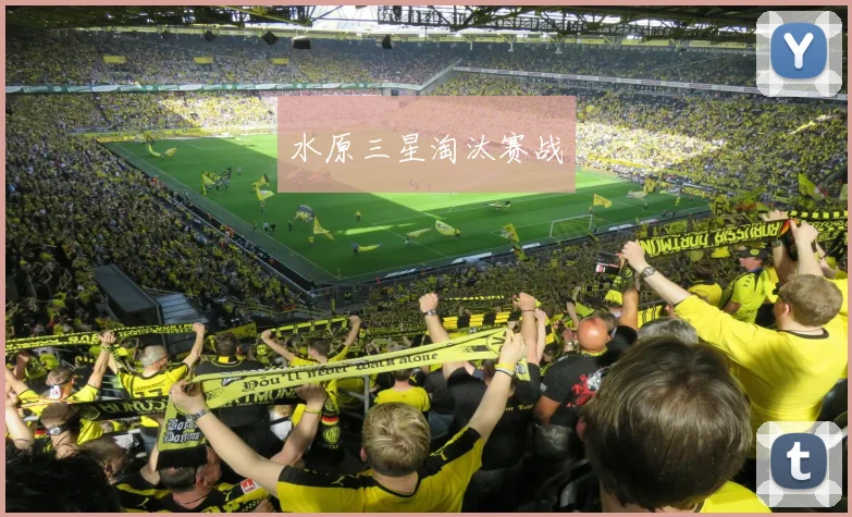 水原三星淘汰赛战