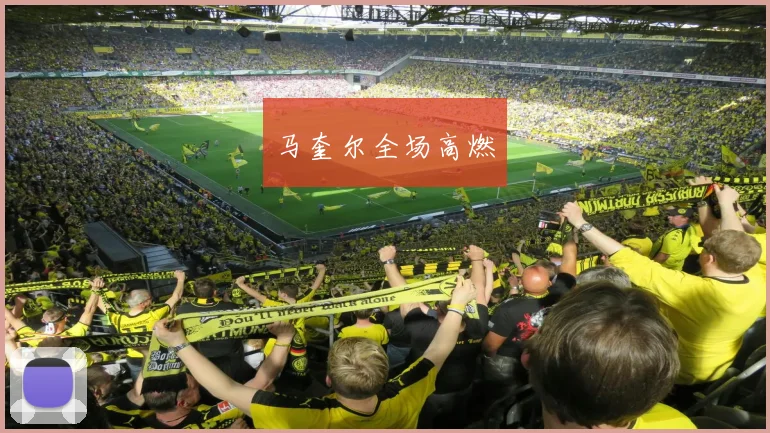 马奎尔全场高燃