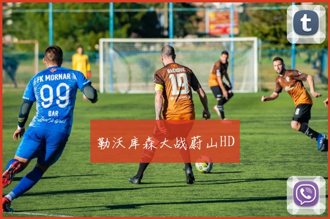 勒沃库森大战蔚山HD