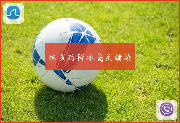 韩国对阵冰岛关键战