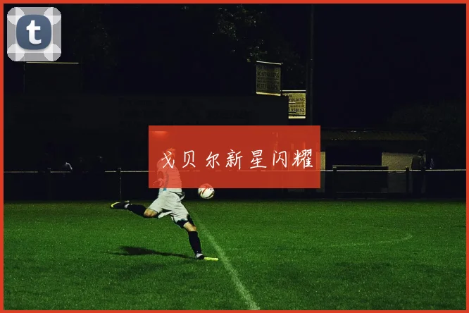 戈贝尔新星闪耀