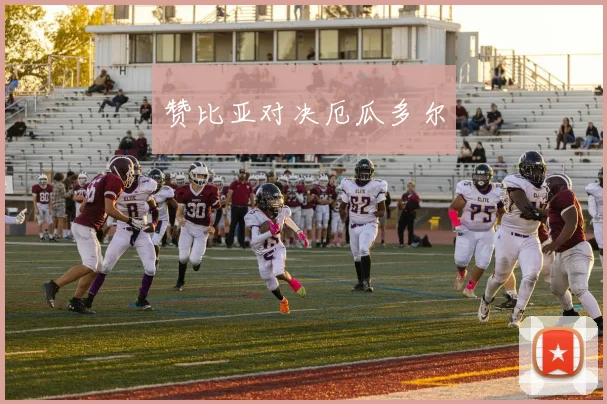 赞比亚对决厄瓜多尔