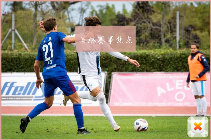 马林赛事焦点