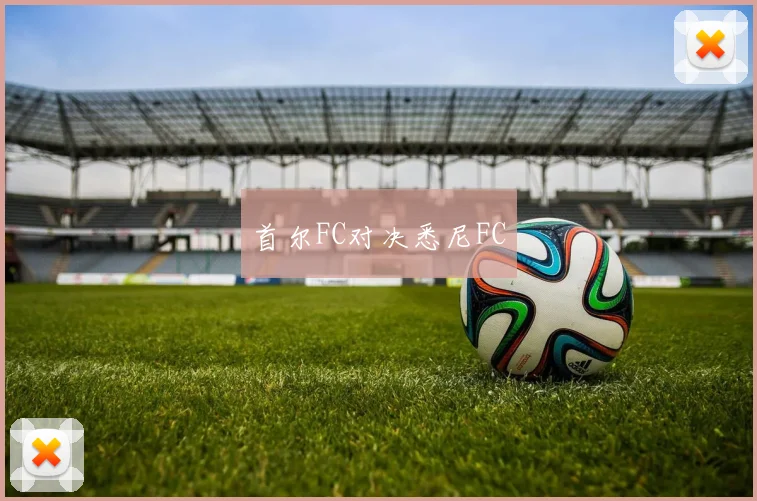 首尔FC对决悉尼FC