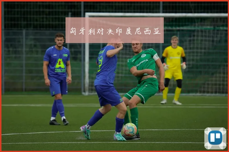 匈牙利对决印度尼西亚