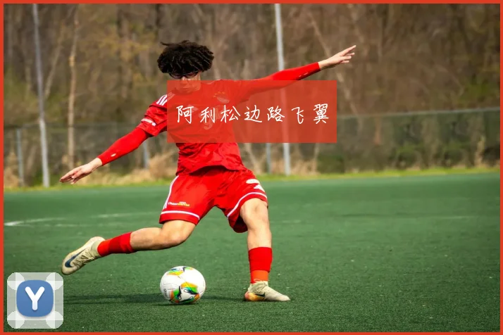 阿利松边路飞翼