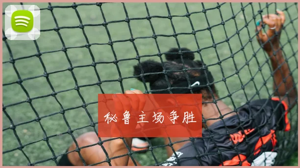 秘鲁主场争胜