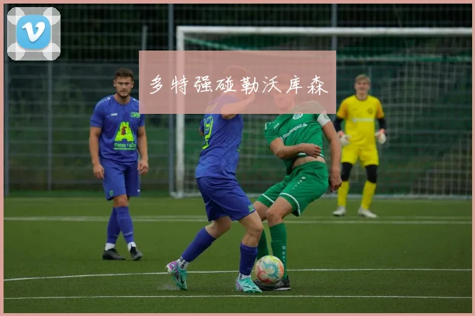 多特强碰勒沃库森