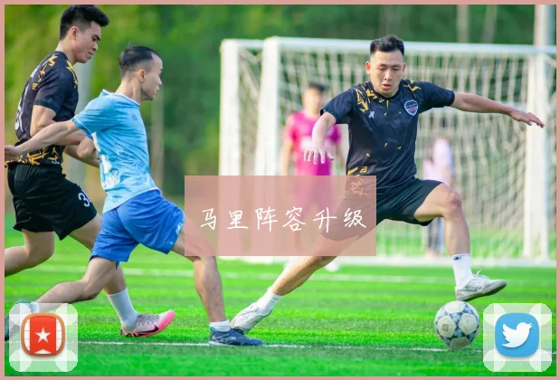 马里阵容升级