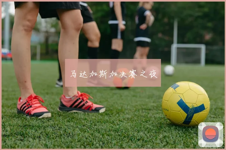 马达加斯加决赛之夜