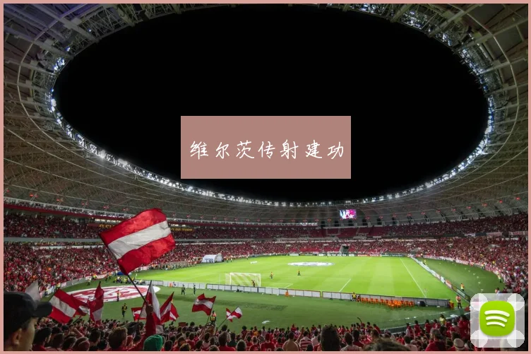 维尔茨传射建功