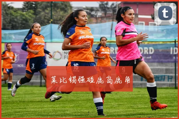莱比锡强碰鹿岛鹿角