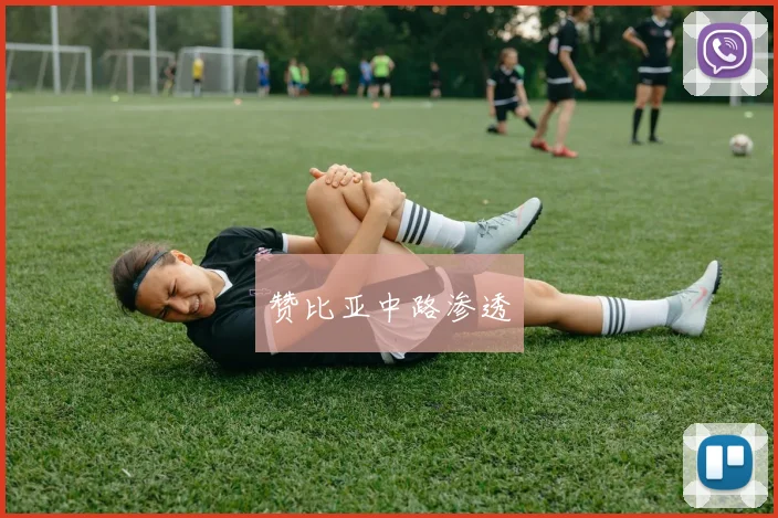 赞比亚中路渗透