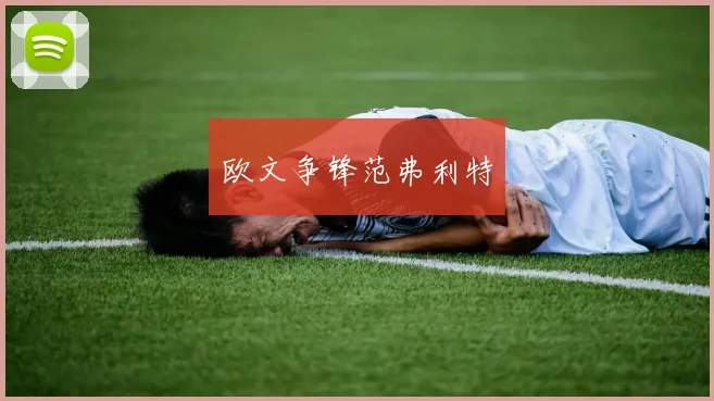 欧文争锋范弗利特