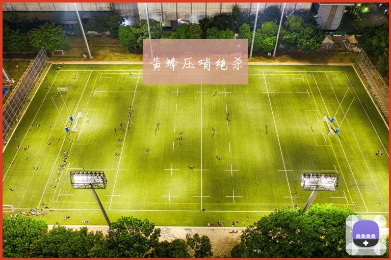 黄蜂压哨绝杀