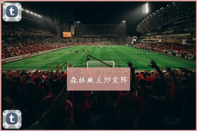 森林狼主帅变阵