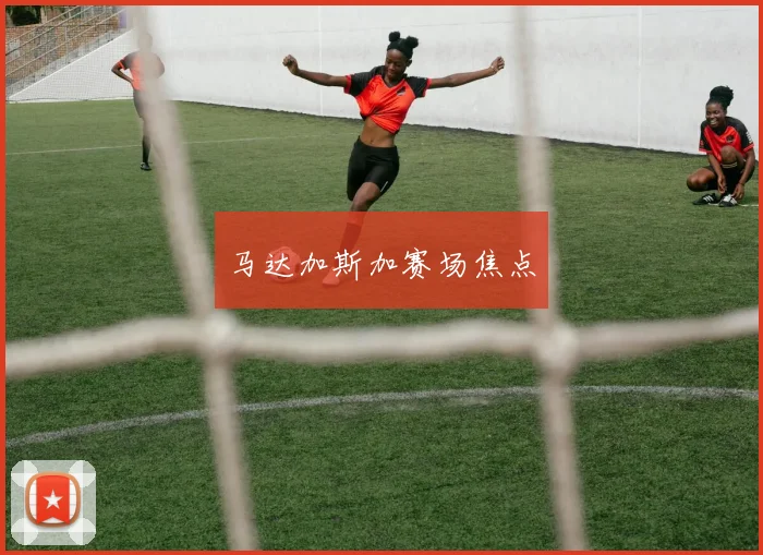 马达加斯加赛场焦点