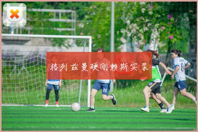 格列兹曼硬刚赖斯实录