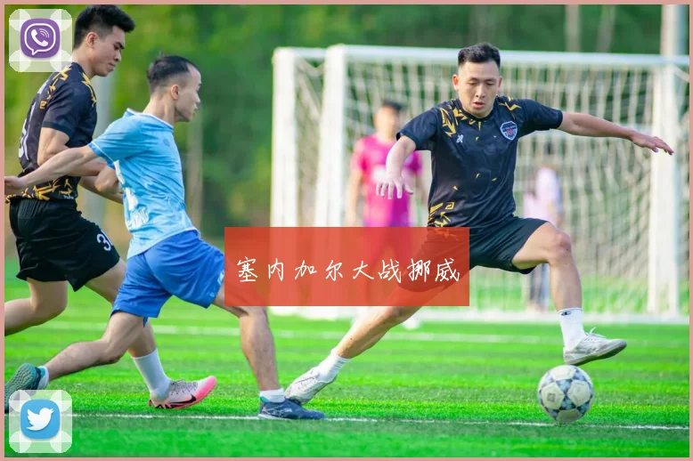 塞内加尔大战挪威