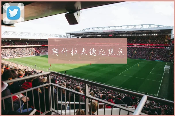 阿什拉夫德比焦点