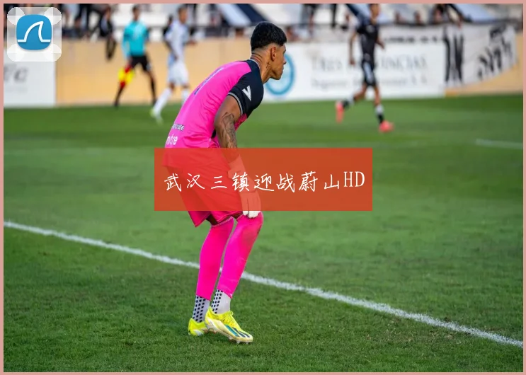 武汉三镇迎战蔚山HD