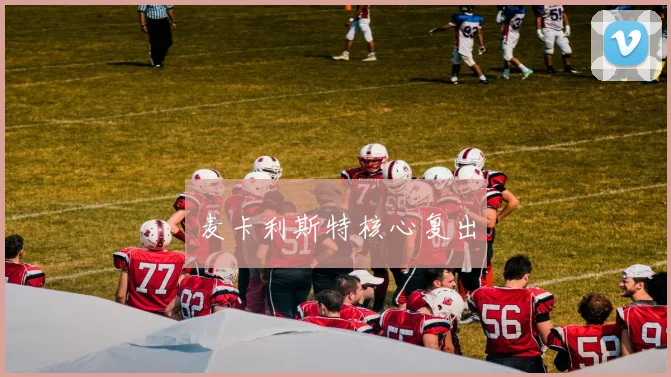 麦卡利斯特核心复出