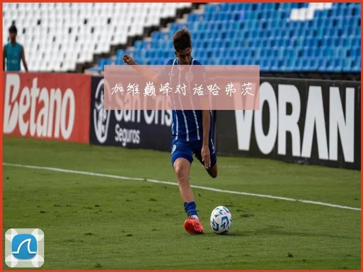 加维巅峰对话哈弗茨