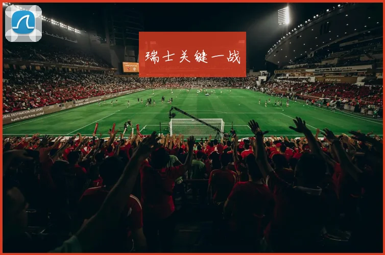 瑞士关键一战