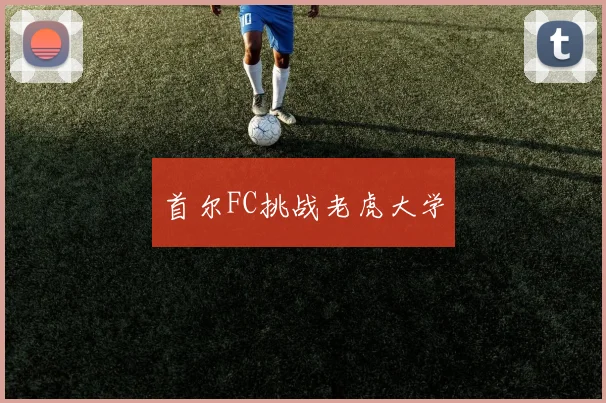首尔FC挑战老虎大学