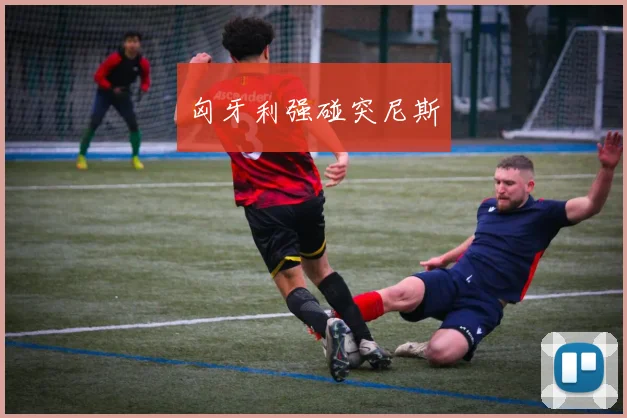 匈牙利强碰突尼斯